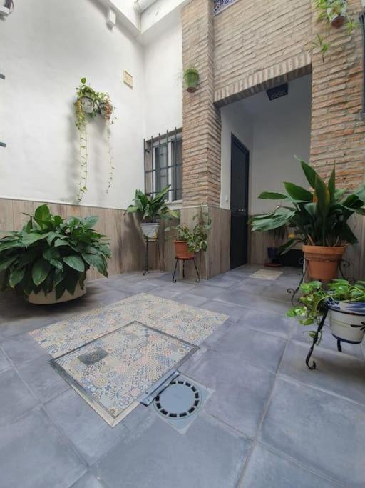 Apartamento En El Fontanal, Casa- Patio De Vecinos セビリア エクステリア 写真